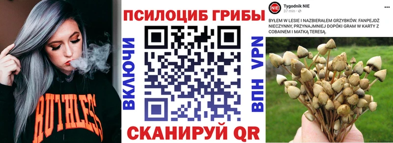 Галлюциногенные грибы Cubensis  цена наркотик  Волгодонск 